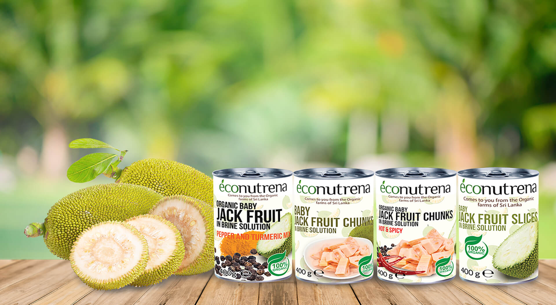 econutrena-fruit-product-category-jack-fruit